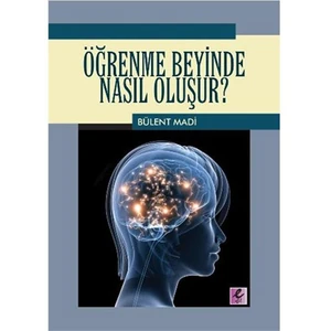Öğrenme Beyinde Nasıl Oluşur?