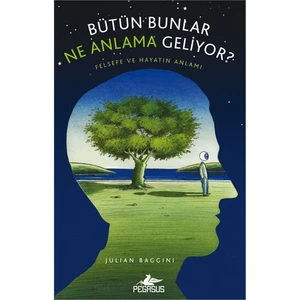 Bütün Bunlar Ne Anlama Geliyor-Julian Baggini