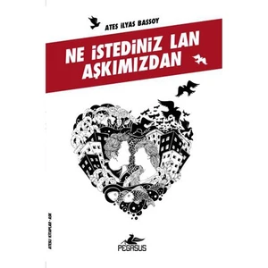 Ne İstediniz Lan Aşkımızdan - Ateş İlyas Başsoy