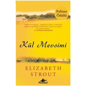 Kül Mevsimi - Elizabeth Strout