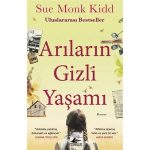 Arıların Gizli Yaşamı - Sue Monk Kidd