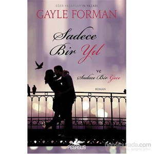 Sadece Bir Yıl Sadece Bir Gece - Gayle Forman