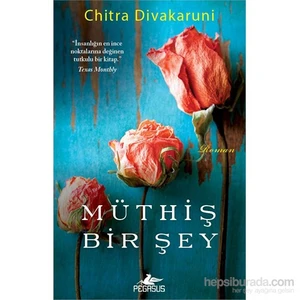 Müthiş Bir Şey - Chitra Divakaruni