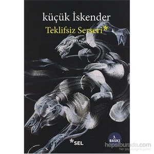 Teklifsiz Serseri