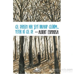 Gel Dersen Her Şeyi Bırakıp Gelirim... Yeter Ki Gel De - Albert Espinosa