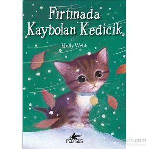 Fırtınada Kaybolan Kedicik-Holly Webb