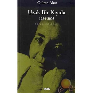 Uzak Bir Kıyıda: 1991-2013 - Gülten Akın