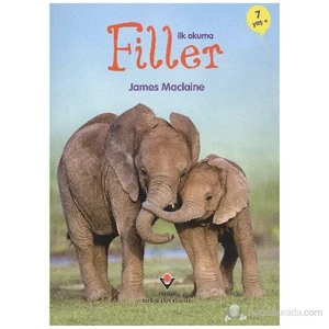 İlk Okuma Filler - James Maclaine