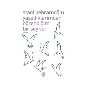 Yaşadıklarımdan Öğrendiğim Bir Şey Var