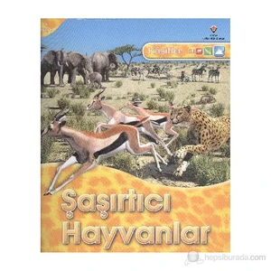 Kaşifler Şaşırtıcı Hayvanlar-Jinny Johnson