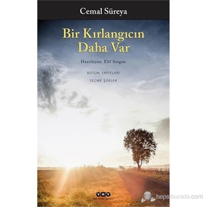 Bir Kırlangıcın Daha Var - Cemal Süreya