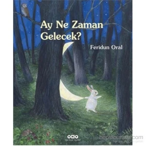 Ay Ne Zaman Gelecek - Feridun Oral