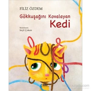 Gökkuşağını Kovalayan Kedi - Filiz Özdem