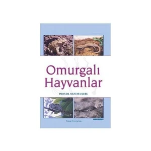 Omurgalı Hayvanlar