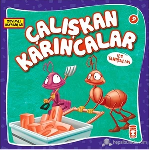 Çalışkan Karıncalar
