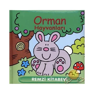 Orman Hayvanları