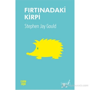 Fırtınadaki Kirpi-Stephen Jay Gould