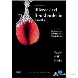 Diferensiyel Denklemlerin Temelleri-Arthur David Snider