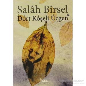 Dört Köşeli Üçgen - Salah Birsel
