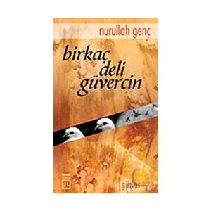 Bir Kaç Deli Güvercin - Nurullah Genç