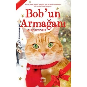 Bob’un Armağanı - James Bowen