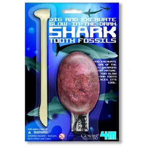 Dig & Excavate Glow Shark Tooth Fossils - Fosil Dişler