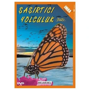 Şaşırtıcı Yolculuk