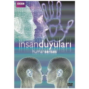 Human Senses (İnsan Duyuları)