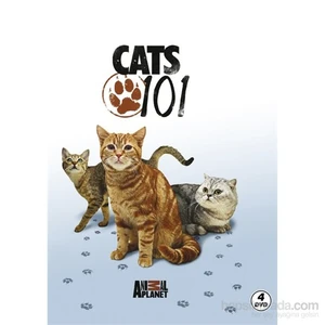 Cats 101 (DVD)