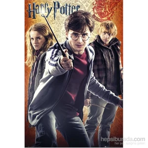 Harry Potter Trio Maxi Poster