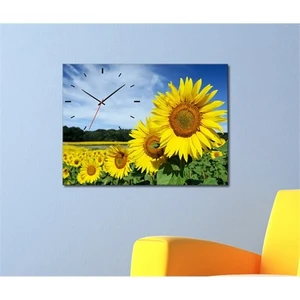 - Ayçiçekleri Canvas Tablo Saat - 45X30cm