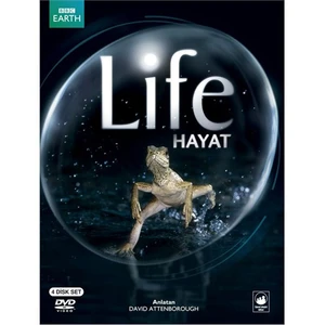 Life (Hayat) (4 Disc)
