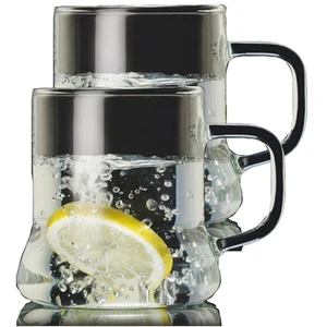 Borosilikat 2'li Kupa 250 ml