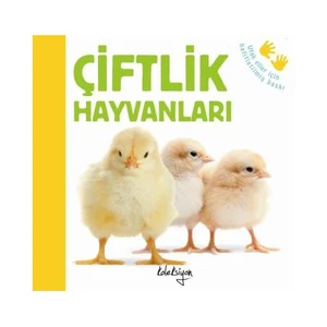 Çiflik Hayvanları - Katie Hewat