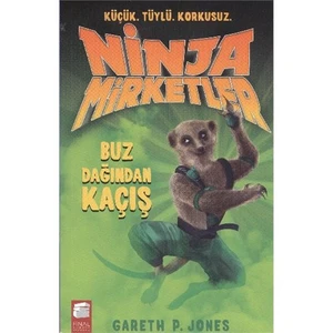 Ninja Mirketler 3 Buz Dağından Kaçış-Gareth P. Jones