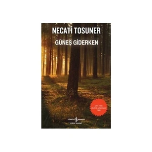 Güneş Giderken - Necati Tosuner