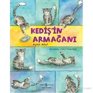 Kediş'in Armağanı - Aytül Akal