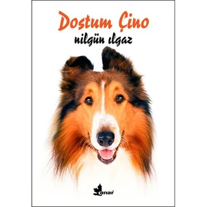 Dostum Çino
