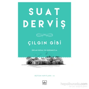 Çılgın Gibi - Suat Derviş