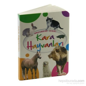 Hayvanlar Alemi 2: Kara Hayvanları