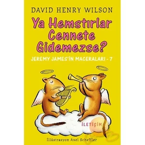 Ya Hemstırlar Cennete Gidemezse?