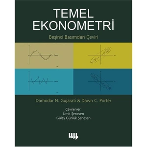 Temel Ekonometri (Beşinci Basımdan Çeviri) - Dawn C. Porter