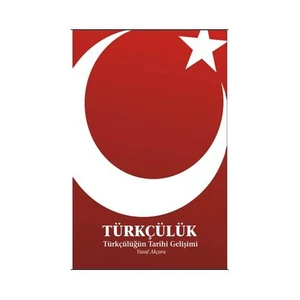 Türkçülük - Türkçülüğün Tarihi Gelişimi