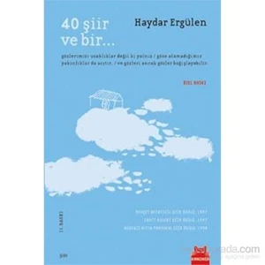 40 Şiir ve Bir... - Haydar Ergülen