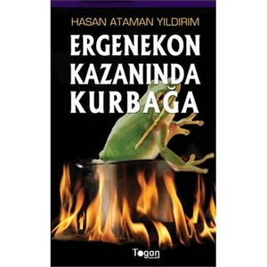 Ergenekon Kazanında Kurbağa - Hasan Ataman Yıldırım