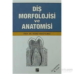 Diş Morfolojisi ve Anatomisi - Hüsnü Yavuz Yılmaz
