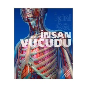 İçini Gör İnsan Vücudu