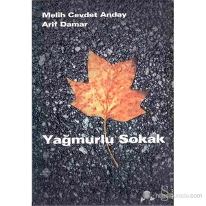Yağmurlu Sokak - Melih Cevdet Anday