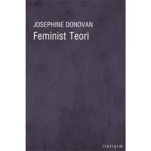 Feminist Teori