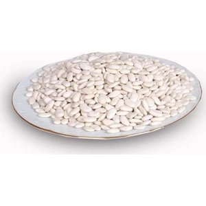 Kayısı İste Malatya Sürgü Kuru Fasulye (1 kg)